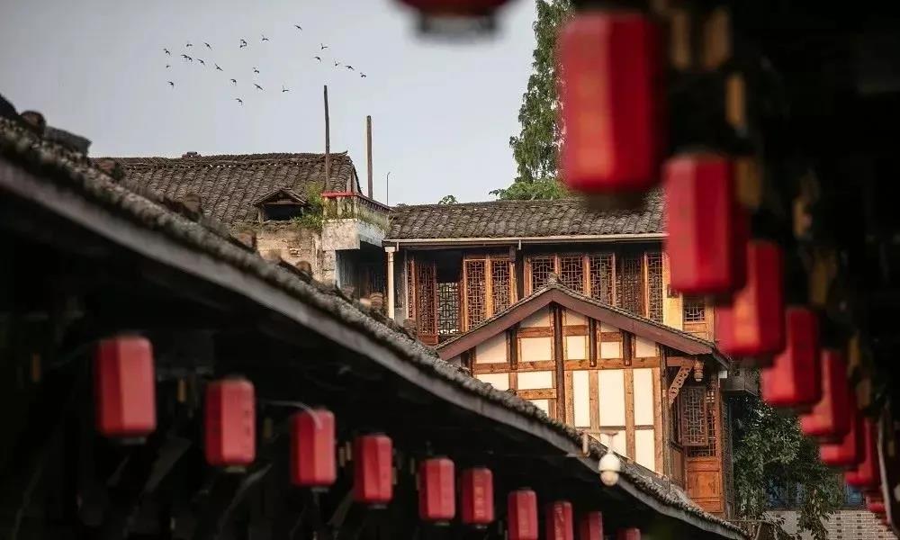 【我在安仁等你】0元乘车活动开始啦!