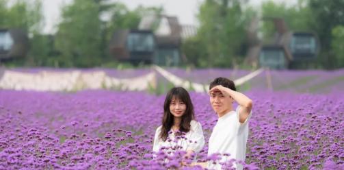 520出游，来奇境花园就够了，这份清单麻烦签收