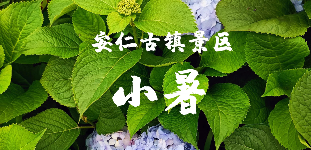 高温天气，请查收~