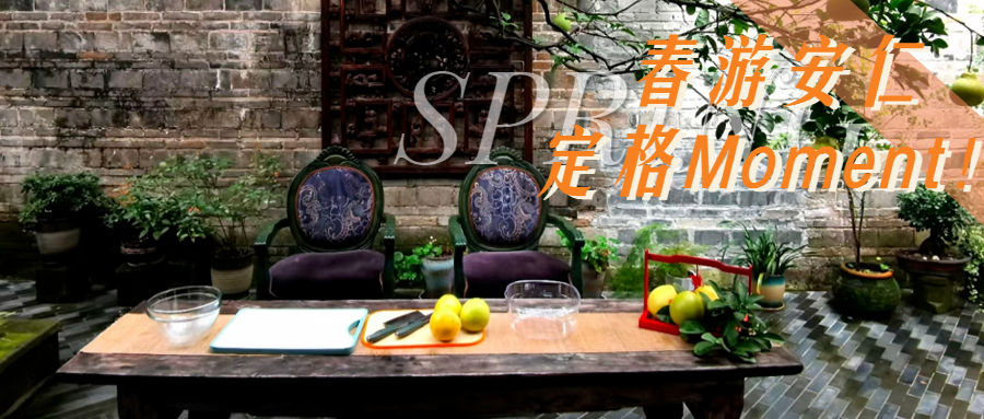 微风不燥，阳光正好，快来安仁定格你的春游Moment！