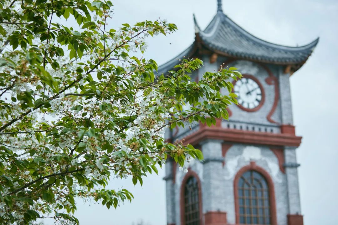 团建上新！ 古镇寻梦 风情安仁春日美学艺术之旅