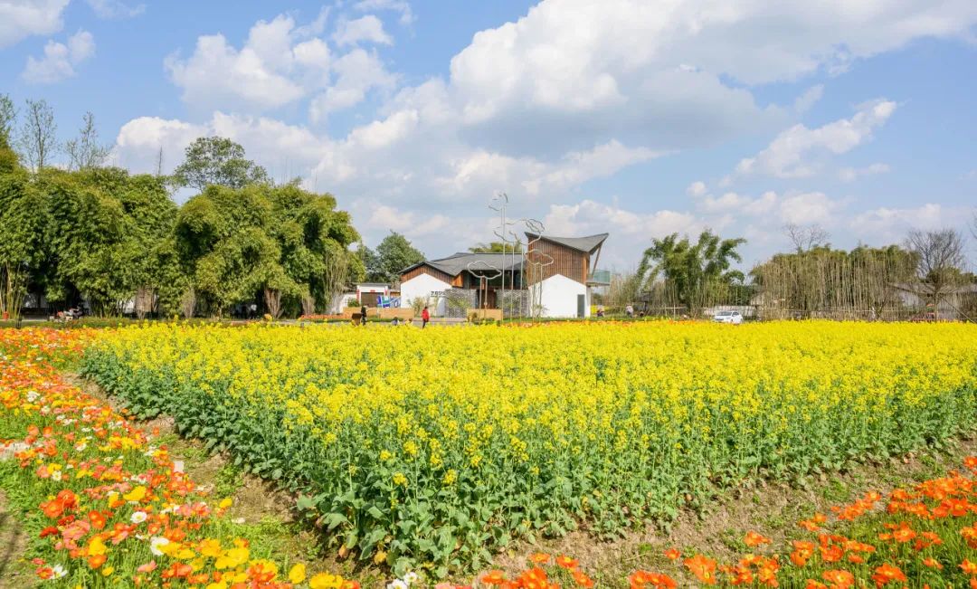 出发！来安仁的春天里，邂逅向往的生活！