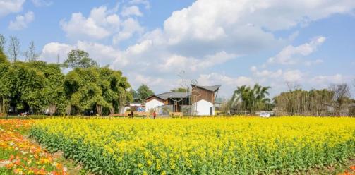 出发！来安仁的春天里，邂逅向往的生活！