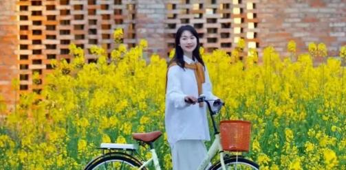 清明雅集·安仁春宴｜一程电车穿古今，半日闲居品春秋