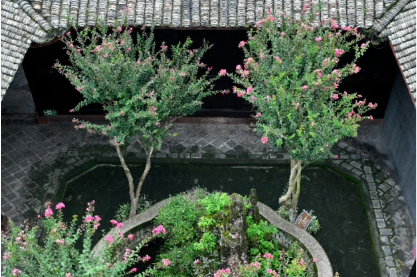 馆藏安仁丨抬头看，安仁古镇别样风貌