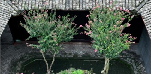 馆藏安仁丨抬头看，安仁古镇别样风貌