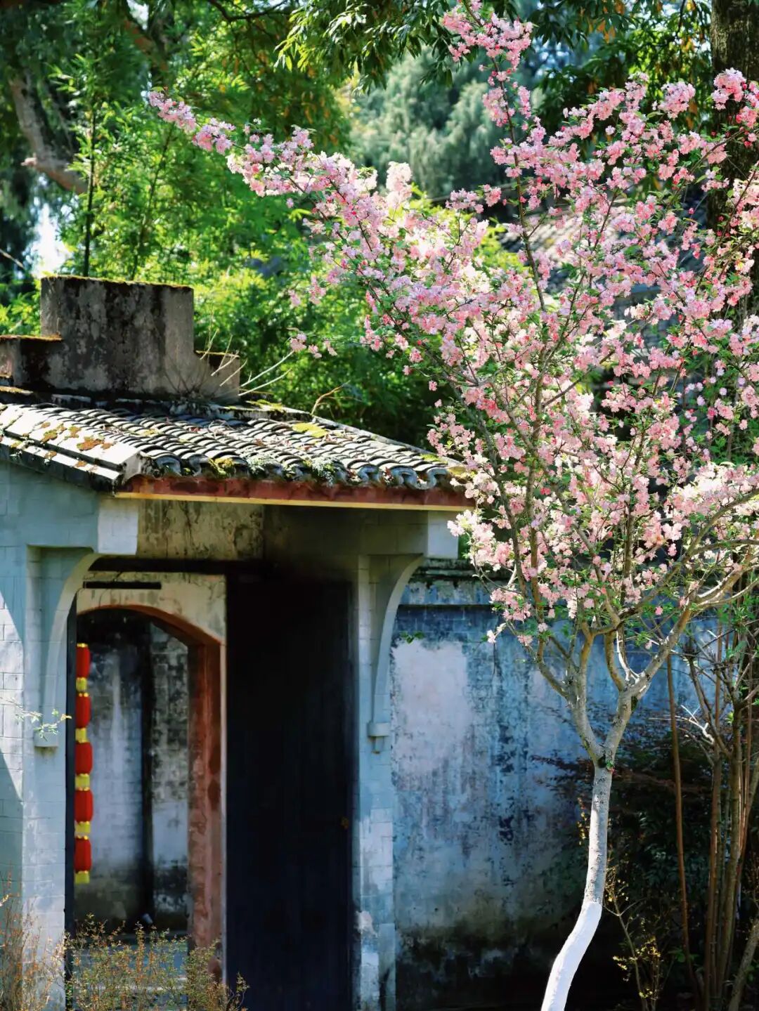 花开公馆，春漫庄园