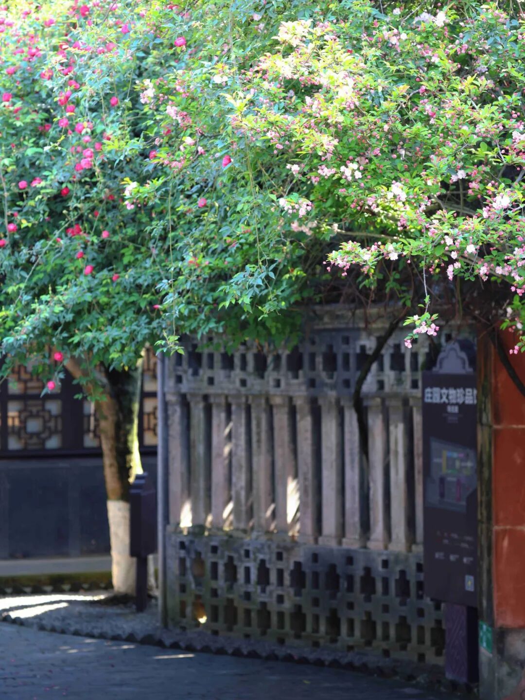 春假即将开启，研学福利等你查收！