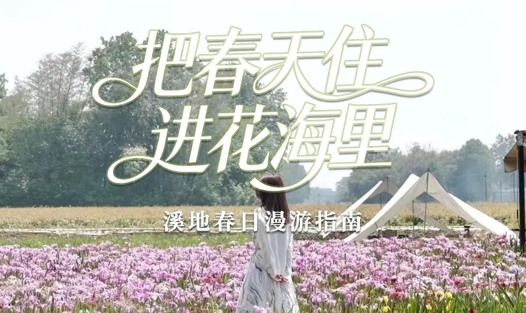 赏花正当时 | 把春天住进花海里