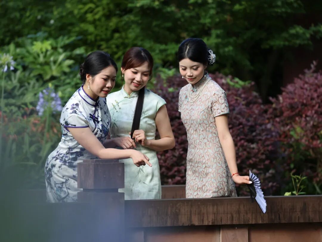 庄园藏夏意，旗袍染温柔