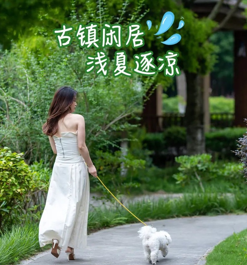 Summer outing 古镇闲居 浅夏逐凉